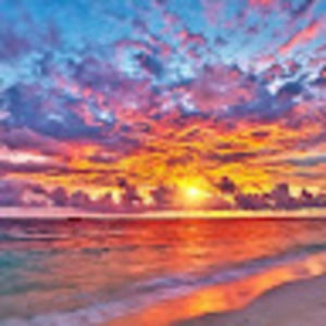 Meet your Posher, Yasmina